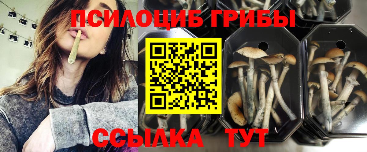 Дедовск  Галлюциногенные грибы MAGIC MUSHROOMS  где купить   Вход с VPN  Галлюциногенные грибы Psilocybe 